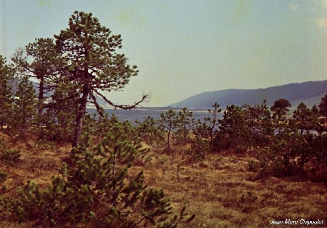 tourbiredesrousses1[1]