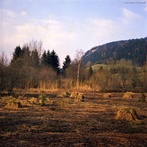 tourbireprsdupont2[1]