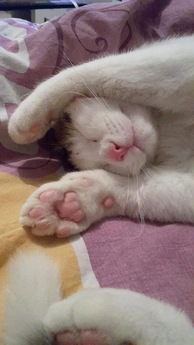 16830289_10210758884799937_1434140432_n