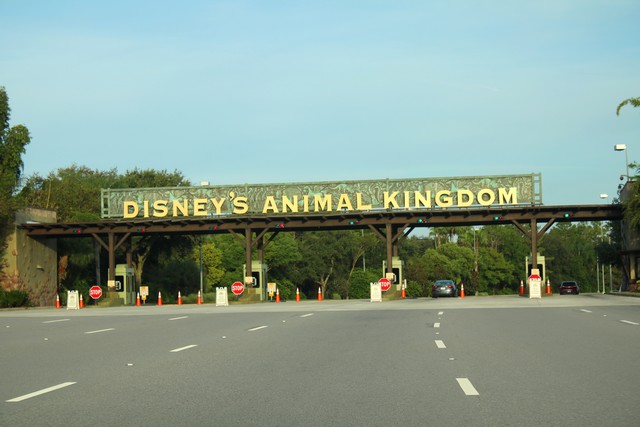 002 - En route pour Animal Kingdom 04