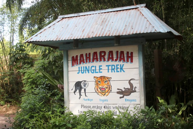 010 - Maharajah Jungle Trek 002