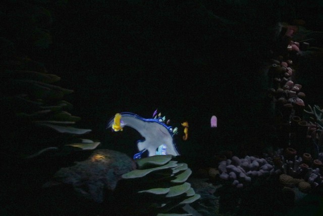 033 - The Seas with Nemo and Friends 026