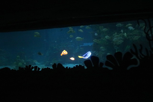 033 - The Seas with Nemo and Friends 040