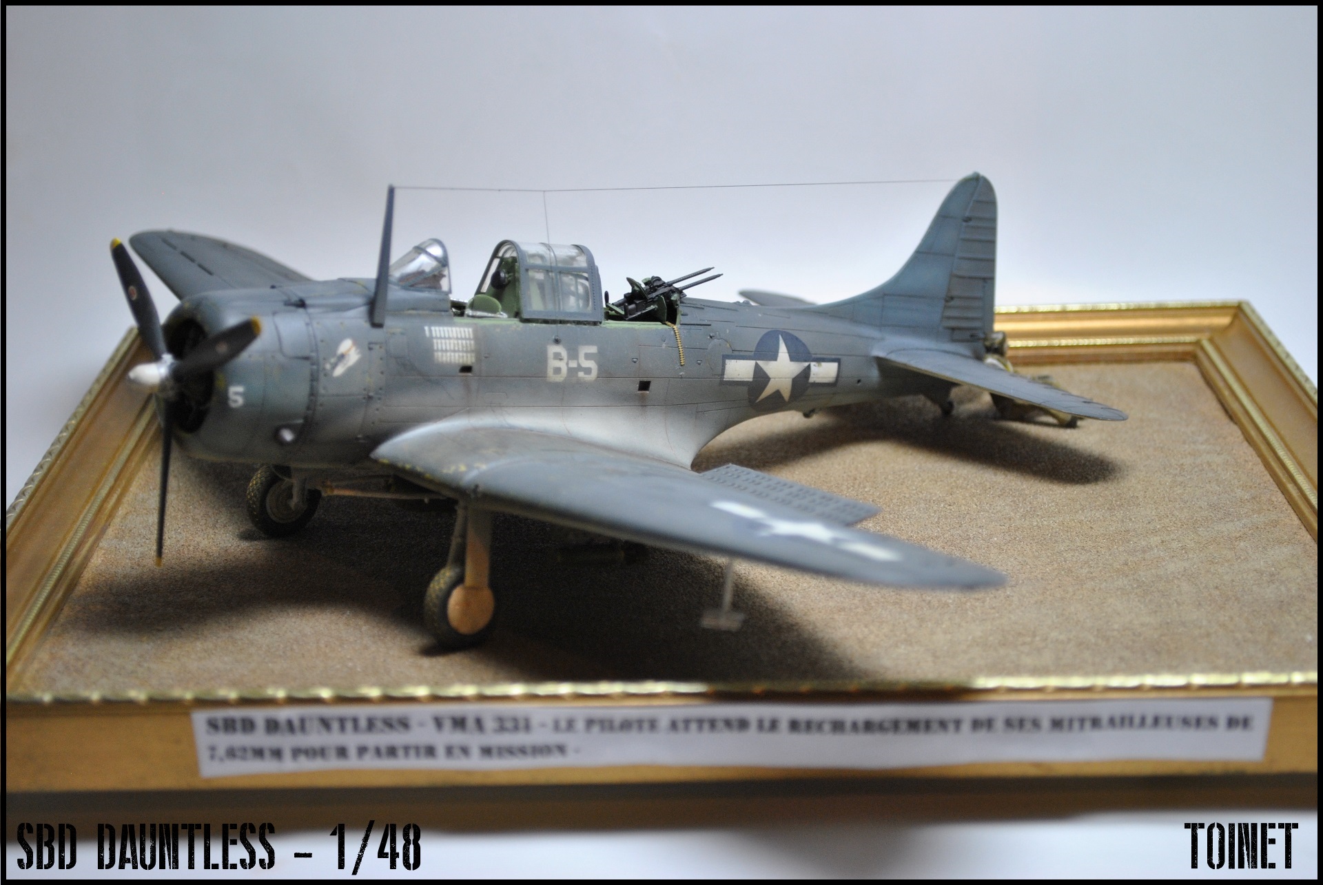 SBD-5 Dauntless - Eduard 1/48 ( ou A24 - Banshee pour les puristes ) 17031807172622113414928859