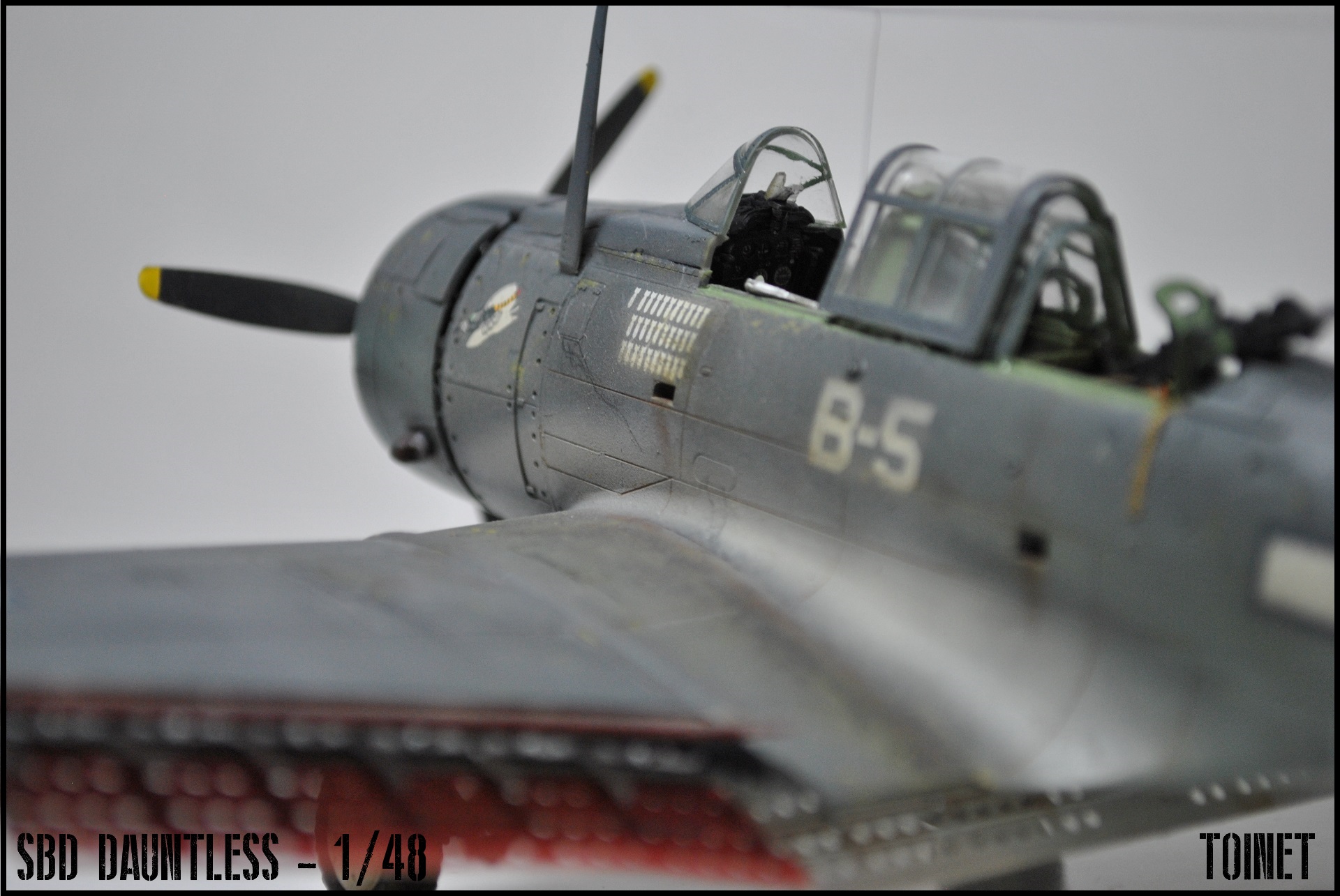 SBD-5 Dauntless - Eduard 1/48 ( ou A24 - Banshee pour les puristes ) 17031807181322113414928867