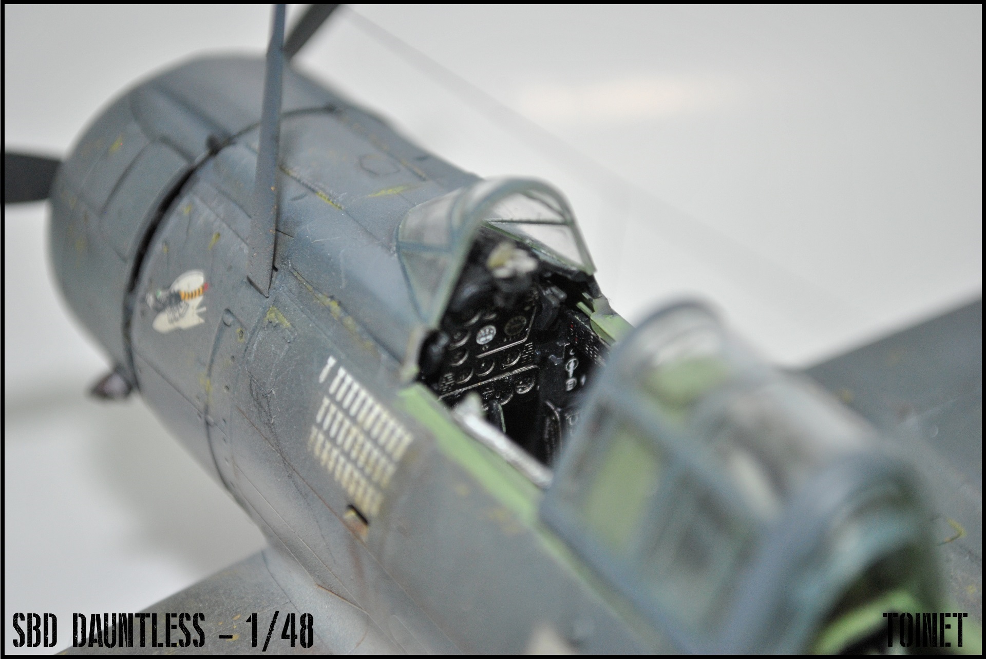 SBD-5 Dauntless - Eduard 1/48 ( ou A24 - Banshee pour les puristes ) 17031807181922113414928868