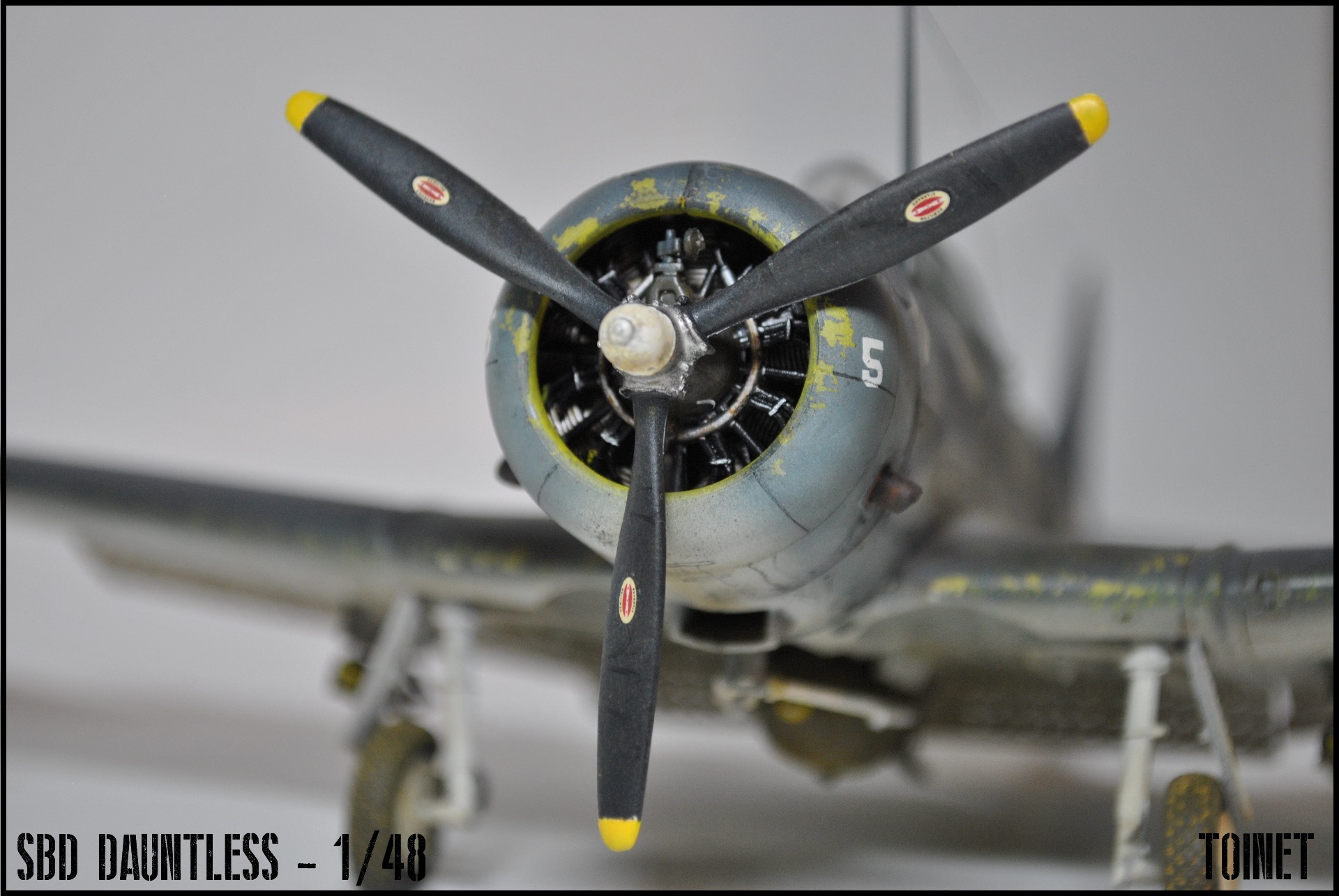 SBD-5 Dauntless - Eduard 1/48 ( ou A24 - Banshee pour les puristes ) 17031807183922113414928871