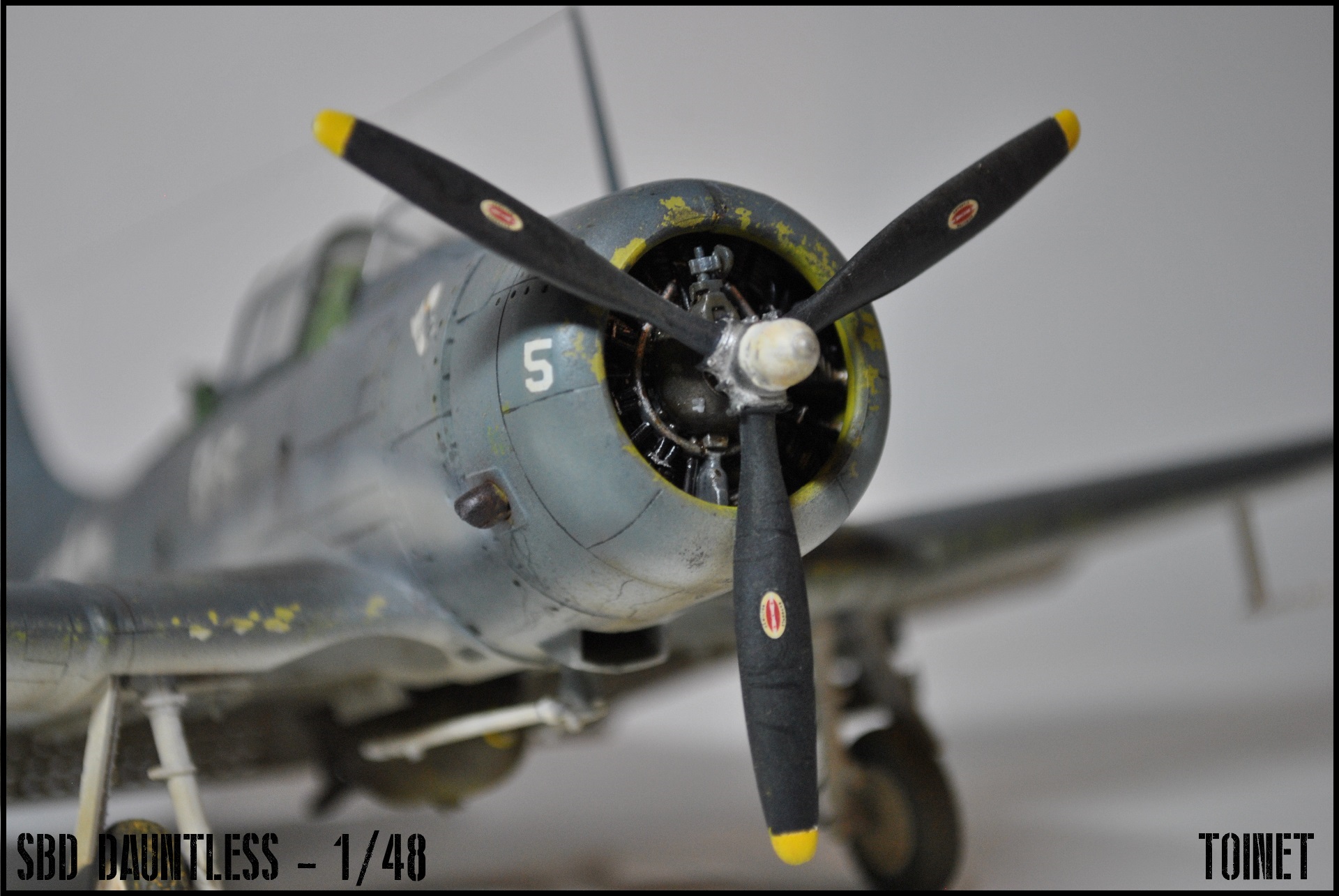 SBD-5 Dauntless - Eduard 1/48 ( ou A24 - Banshee pour les puristes ) 17031807184522113414928872