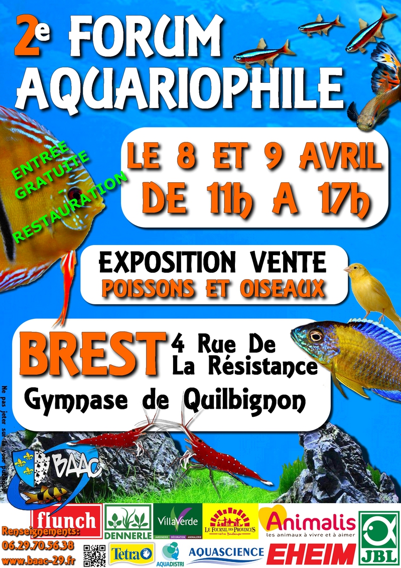 2e BOURSE BREST - les 8 et 9 Avril 2017