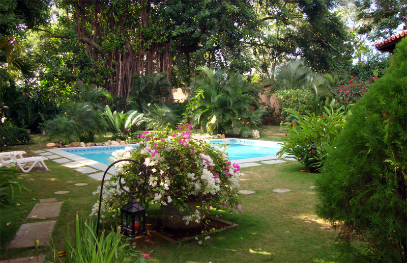 Hotel jardin small