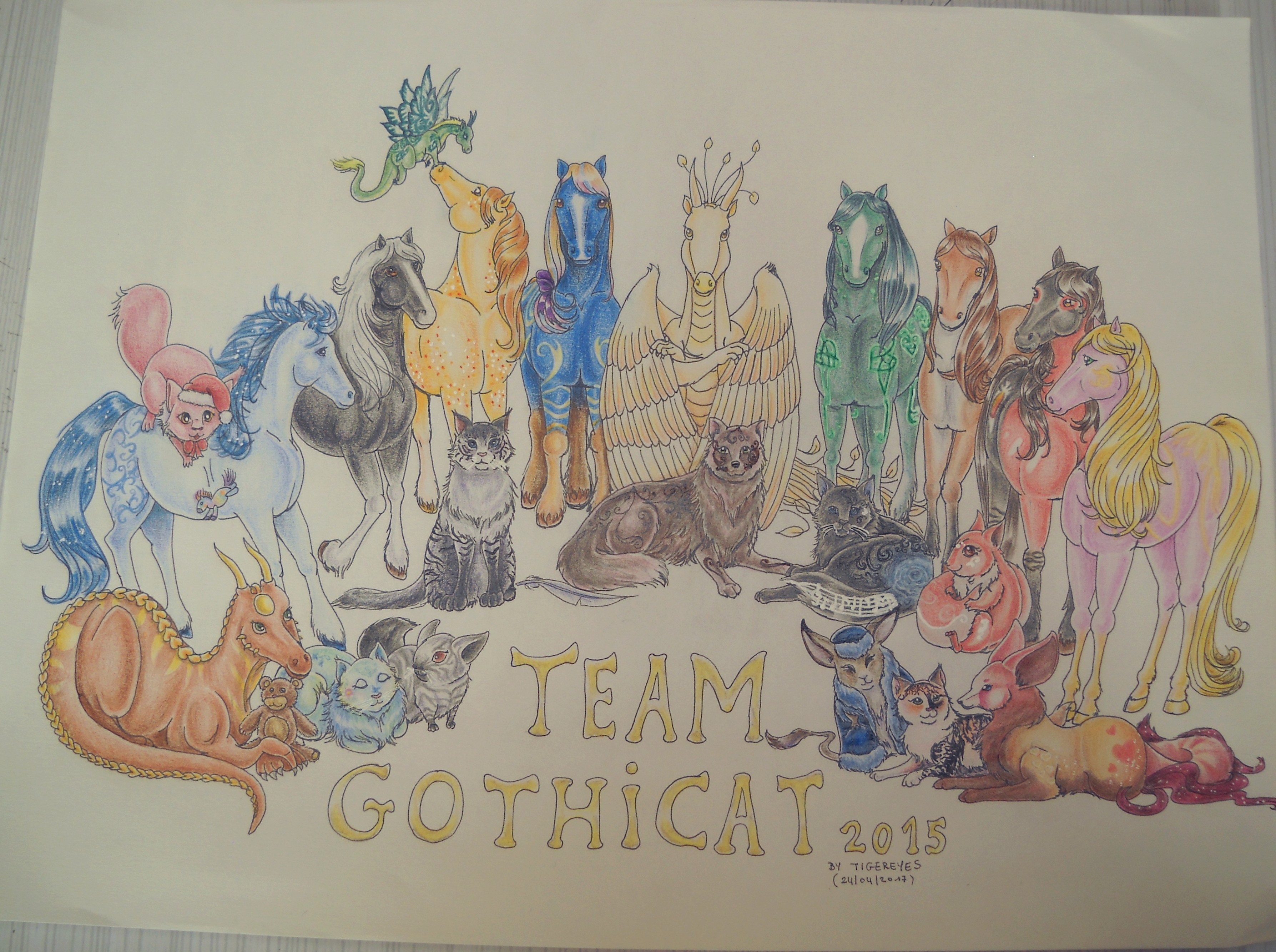 9.Team mod&eacute;ration 2015 (fini en 2017)