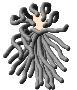 Tenue tentacules A02sailor by Aurelyaya (Gabarit pour hauts robes)