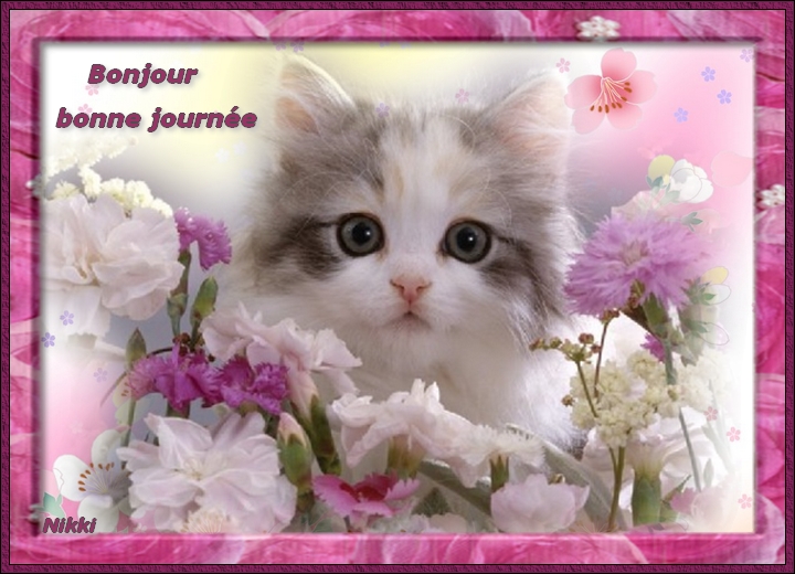 Sans titre 1 Sans titre 1