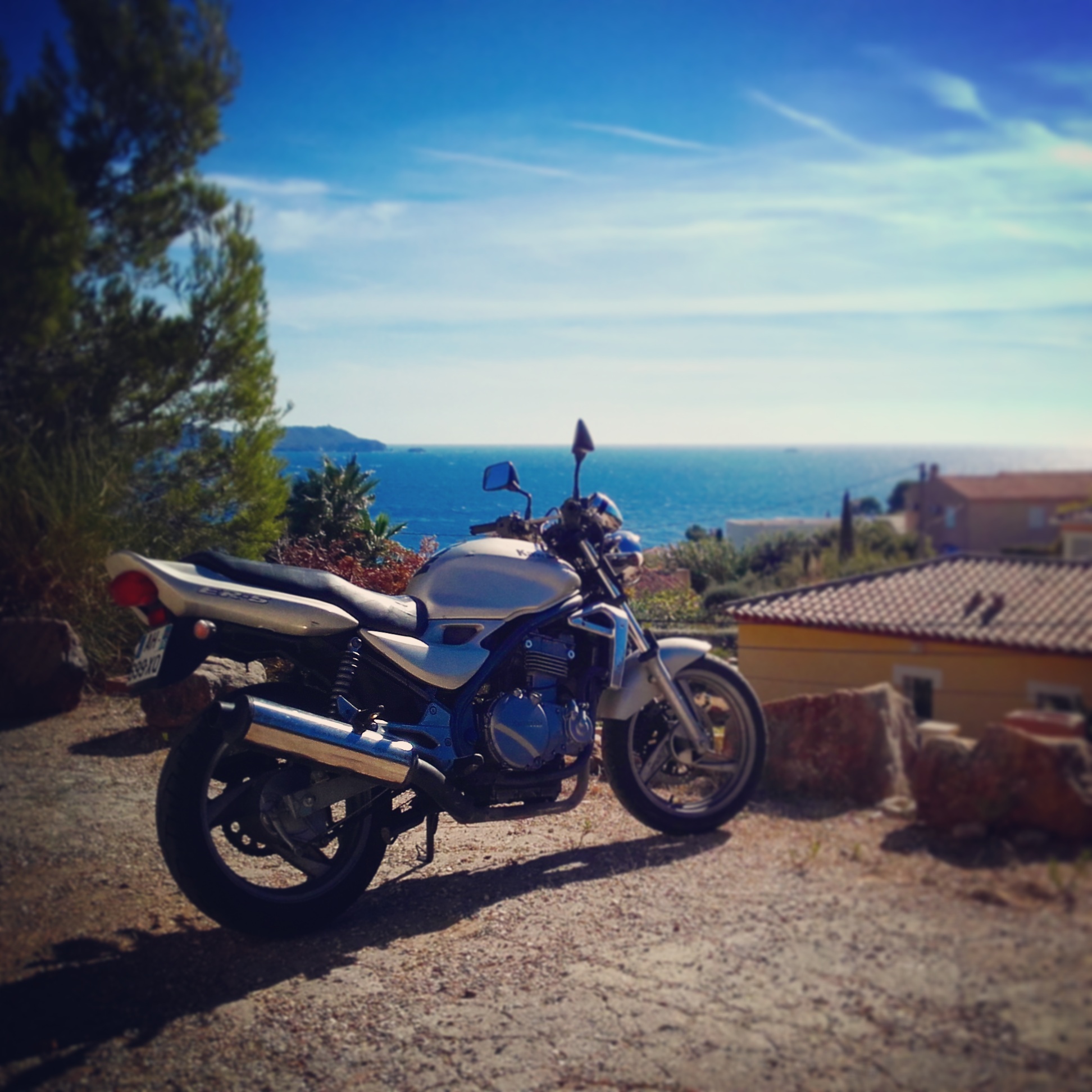 IMG_20161019_144953[2]