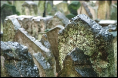 Prague_2009 - Image_003