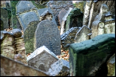 Prague_2009 - Image_006