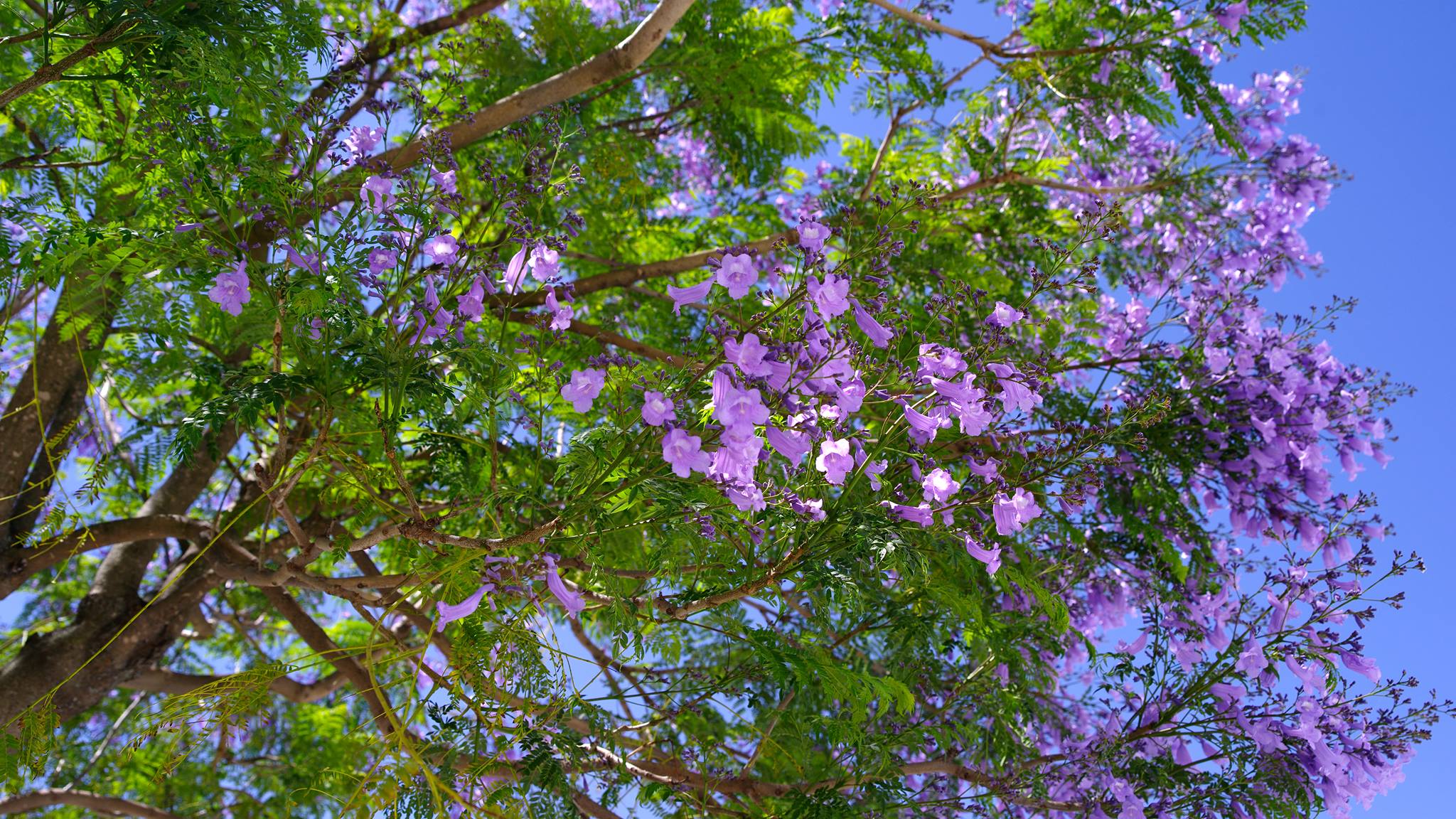 18676402_10155302382564509_1565851969_o