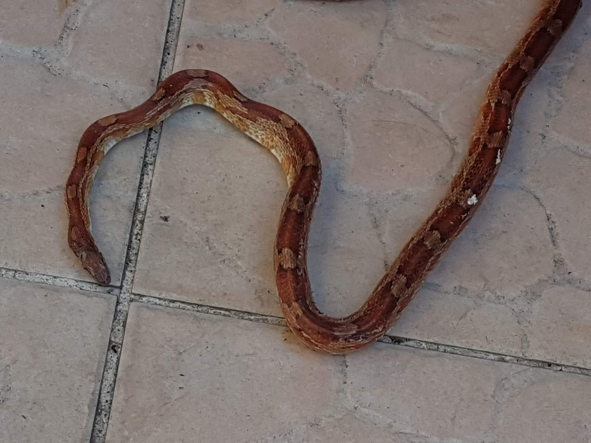 19830180_1352544034867306_342167187_o