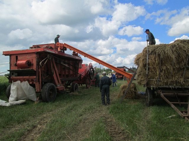 28 - Thimert-Gatelle : Exposition de tracteurs le 21/05/2017 17081010154421374015211845