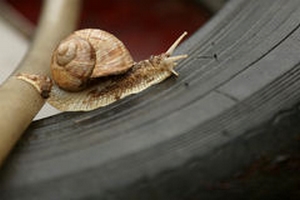 0 escargot pneu