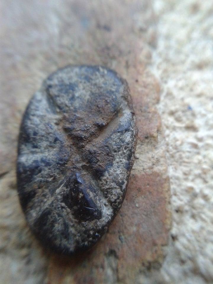 22635157_2259349210749889_776826949_n