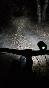 Vtt nocturne. Mini_17110911312618272415360680