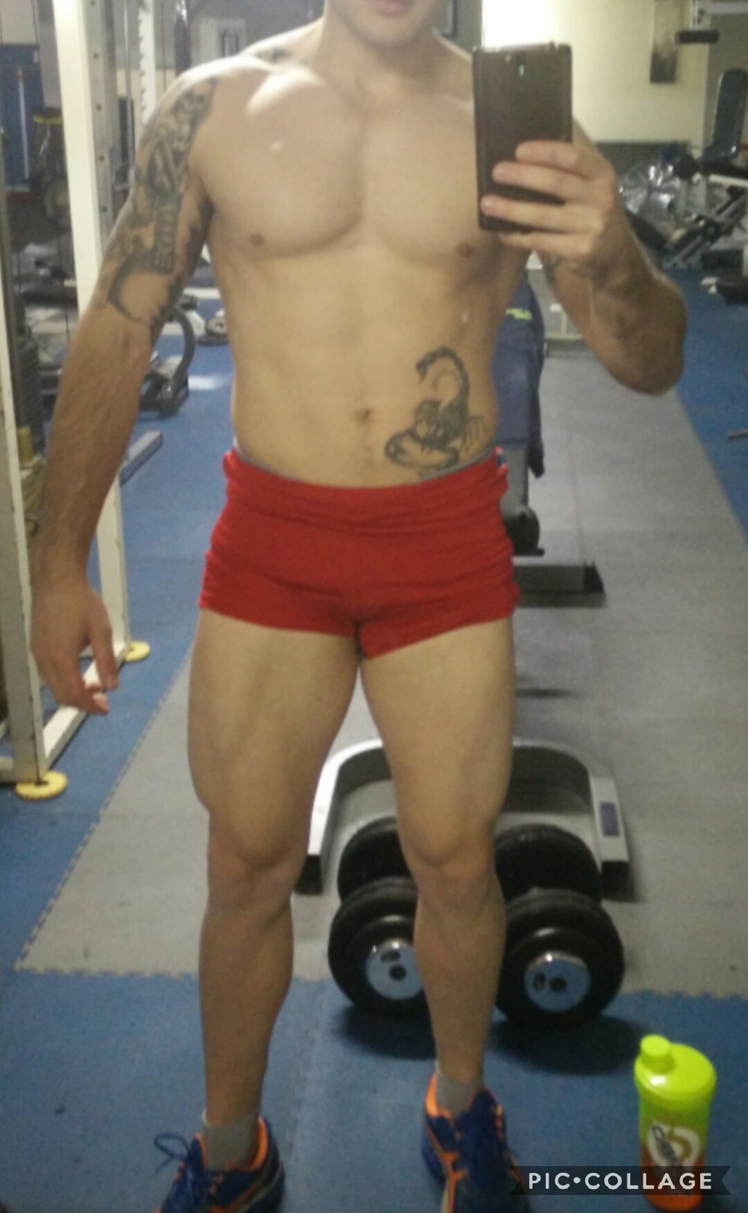 Collage 2017-11-13 17_47_50