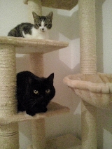 Dory (ex Bruyère) et Dora (ex Belinda) Mini_17112509200123288015385917