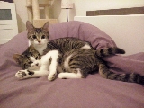 Dory (ex Bruyère) et Dora (ex Belinda) Mini_17112510482023288015385959