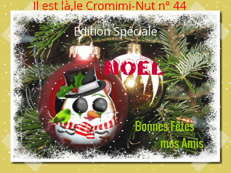 Le Cromimi-Nut n° 44 Edition spéciale Noël 17120612345620785015404217