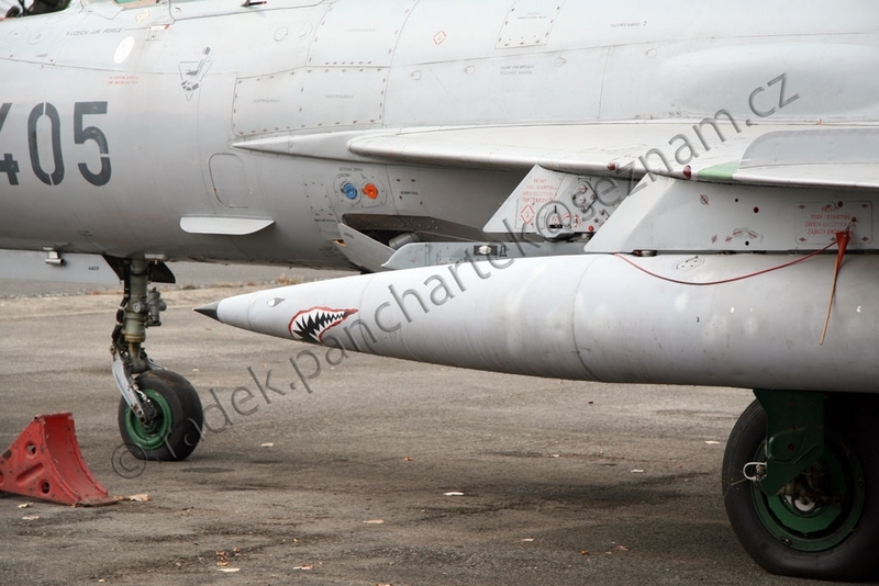 MiG-21 MFN (Eduard 1/48) 18011412240610194415456183