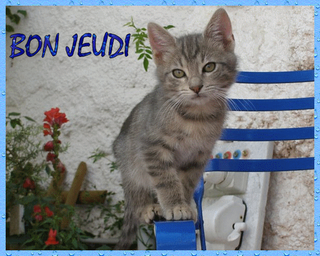 4. Bon jeudi &eacute;t&eacute;