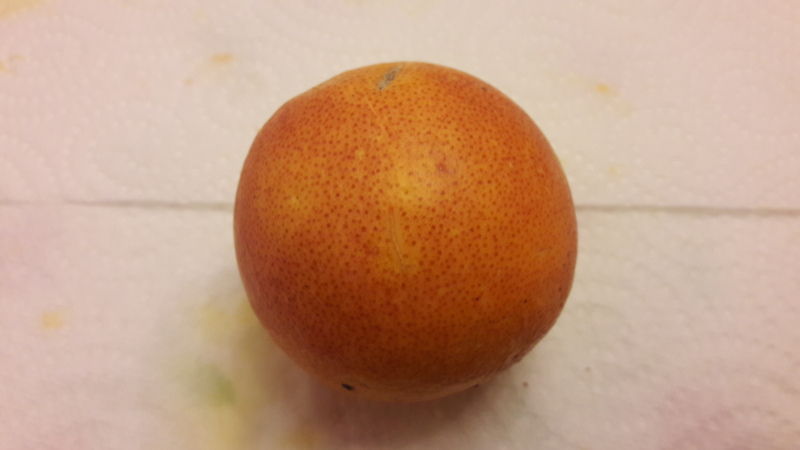 oranger sanguinelli (3)