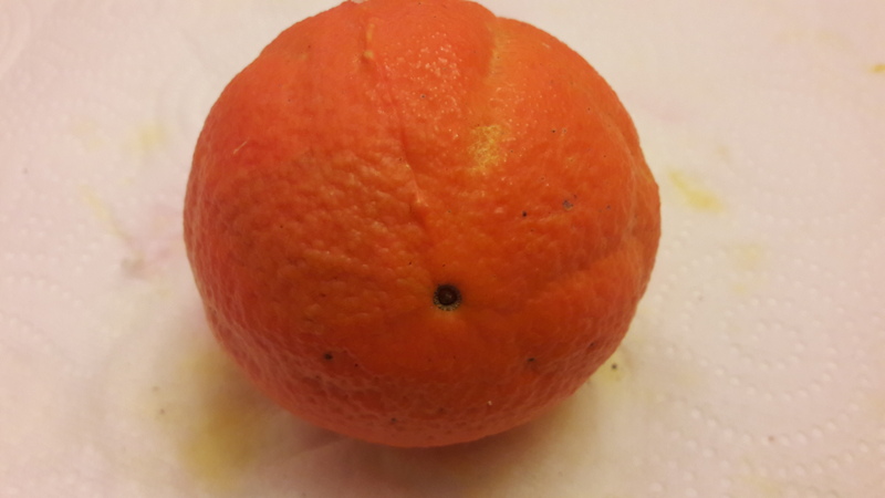 oranger gosset (3)