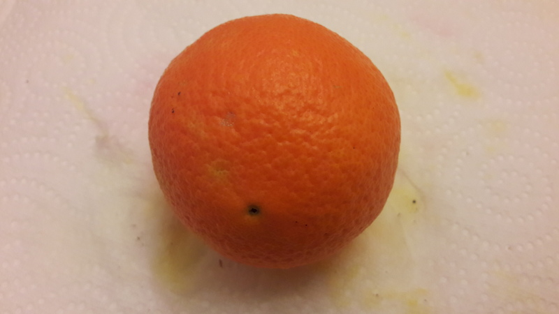 oranger skaggs bonanza (3)