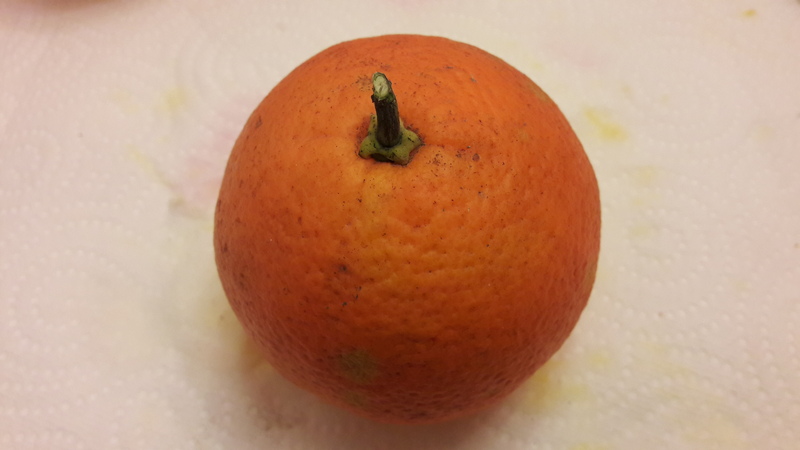 oranger thompson (2)