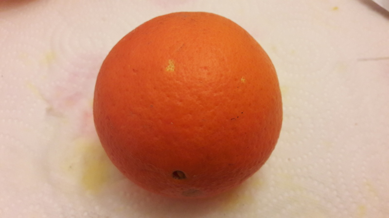 oranger thompson (3)