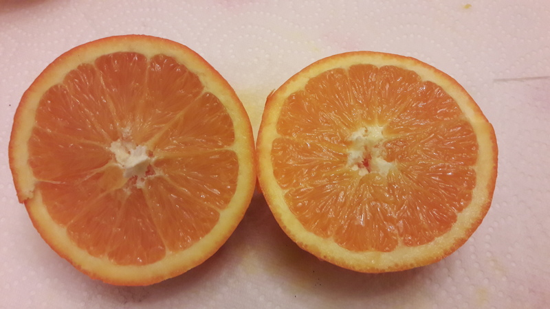 oranger thompson (5)