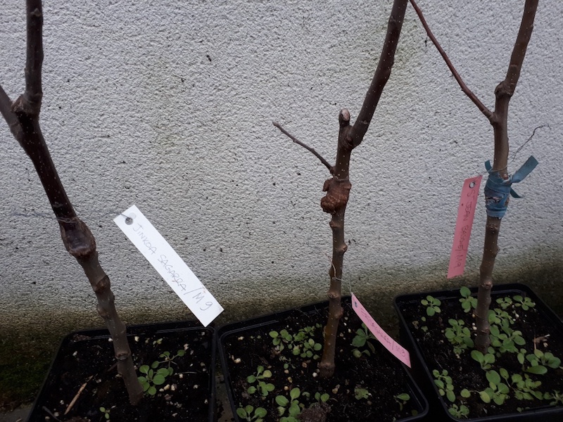 20180213_092506_resized - copie